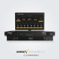SurgeX Access+ 10Amp, IEC 9xC13 IEC